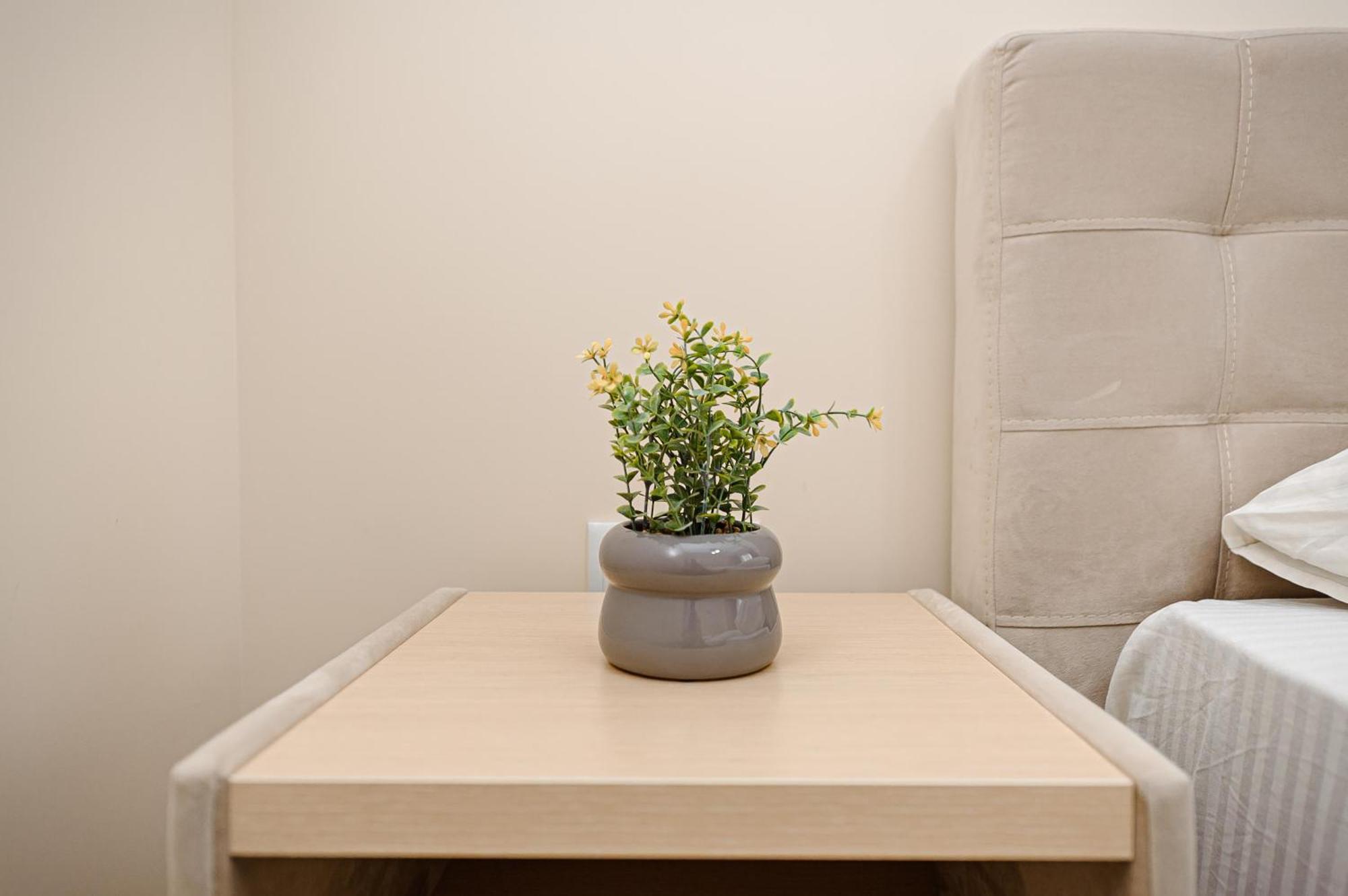 Oasis Apartment Кишинёв Экстерьер фото